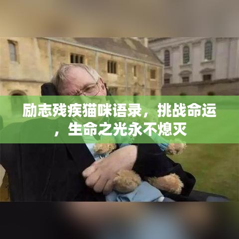 励志残疾猫咪语录，挑战命运，生命之光永不熄灭