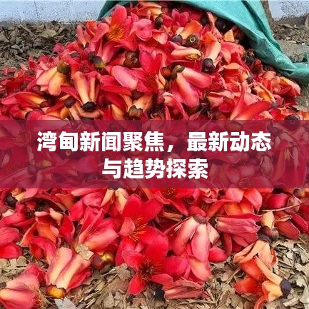 湾甸新闻聚焦，最新动态与趋势探索