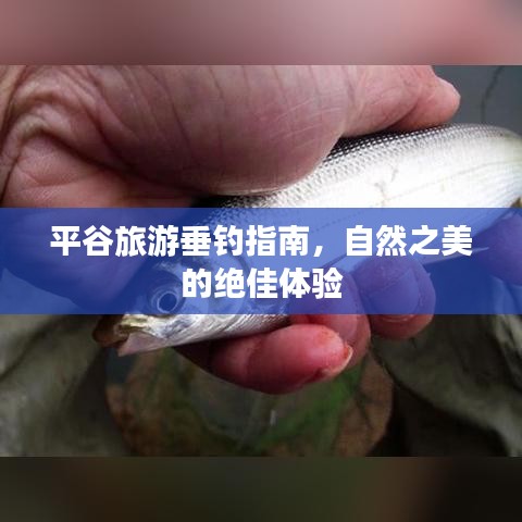 平谷旅游垂钓指南，自然之美的绝佳体验