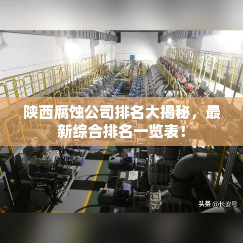 陕西腐蚀公司排名大揭秘，最新综合排名一览表！