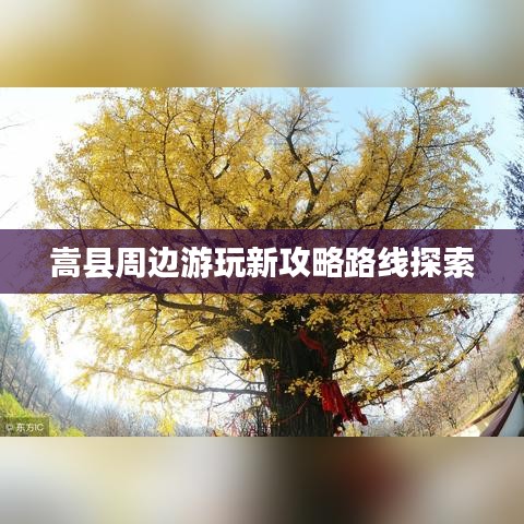 嵩县周边游玩新攻略路线探索