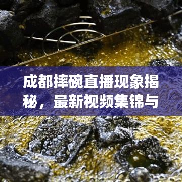 成都摔碗直播现象揭秘，最新视频集锦与背后的故事