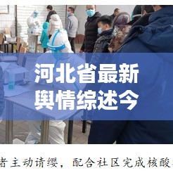 河北省最新舆情综述今日更新