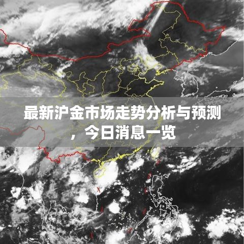 最新沪金市场走势分析与预测，今日消息一览