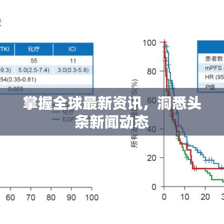 掌握全球最新资讯，洞悉头条新闻动态