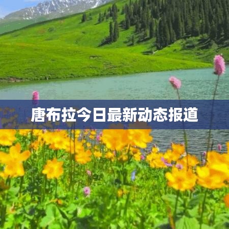 唐布拉今日最新动态报道