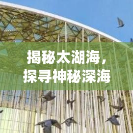 2025年5月31日 第38页