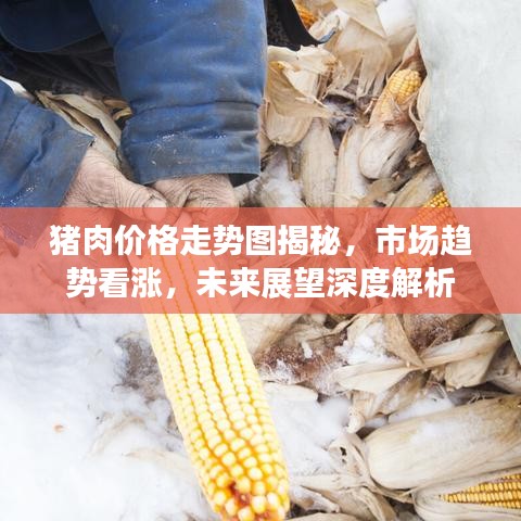猪肉价格走势图揭秘，市场趋势看涨，未来展望深度解析
