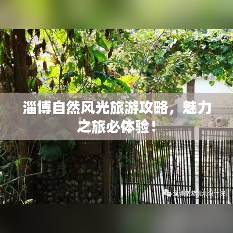 淄博自然风光旅游攻略，魅力之旅必体验！