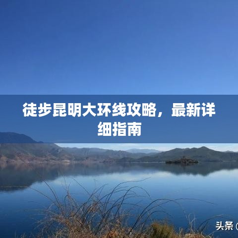 2025年5月31日 第19页