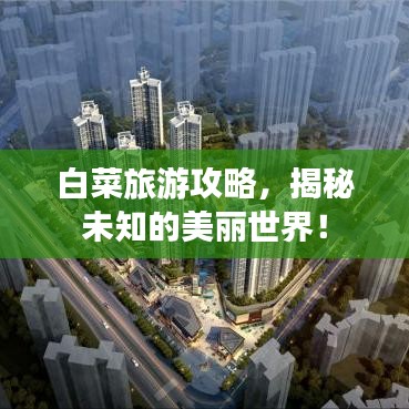 白菜旅游攻略，揭秘未知的美丽世界！