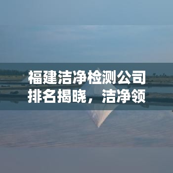 福建洁净检测公司排名揭晓，洁净领域的领军者探寻