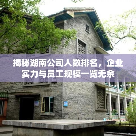 揭秘湖南公司人数排名，企业实力与员工规模一览无余