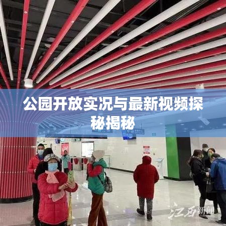 公园开放实况与最新视频探秘揭秘
