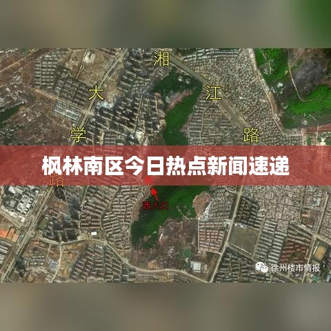枫林南区今日热点新闻速递