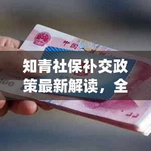 知青社保补交政策最新解读，全面解析与指导