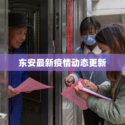 东安最新疫情动态更新