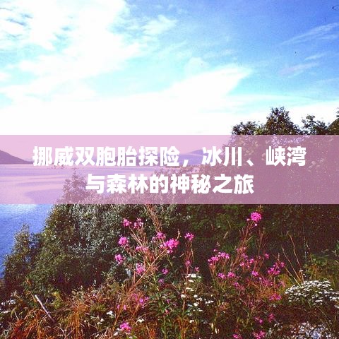 挪威双胞胎探险，冰川、峡湾与森林的神秘之旅
