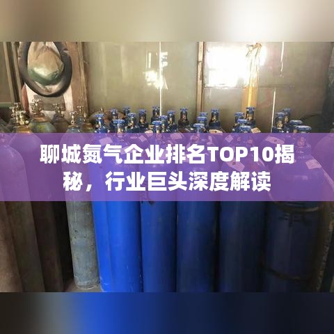 聊城氮气企业排名TOP10揭秘，行业巨头深度解读