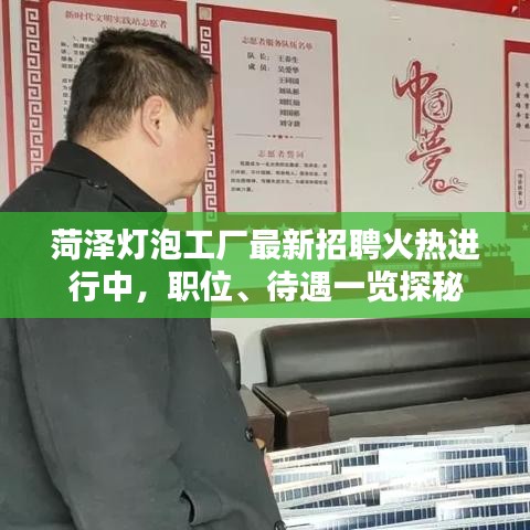 菏泽灯泡工厂最新招聘火热进行中，职位、待遇一览探秘