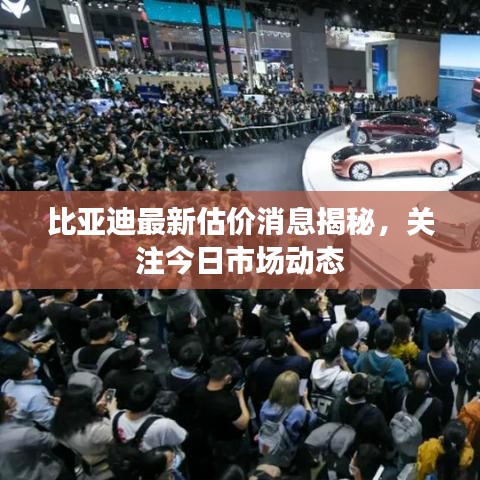 比亚迪最新估价消息揭秘，关注今日市场动态