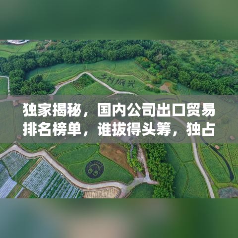 独家揭秘，国内公司出口贸易排名榜单，谁拔得头筹，独占行业鳌头？