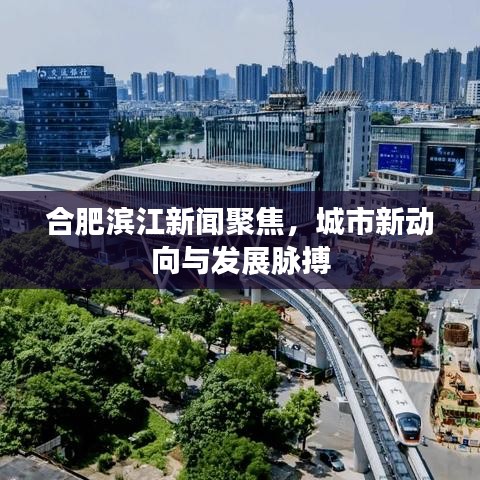 合肥滨江新闻聚焦，城市新动向与发展脉搏