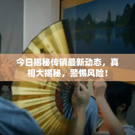 今日揭秘传销最新动态，真相大揭秘，警惕风险！