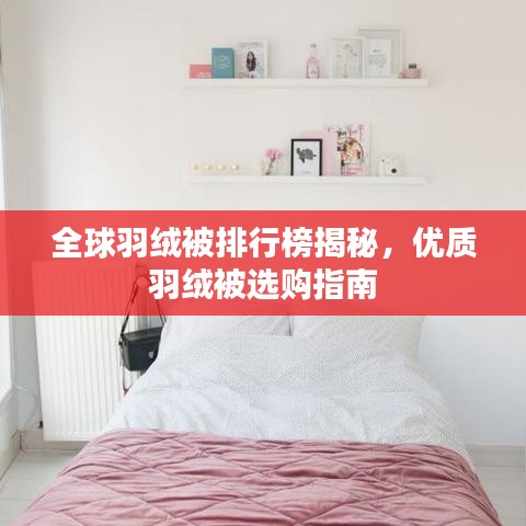 全球羽绒被排行榜揭秘，优质羽绒被选购指南