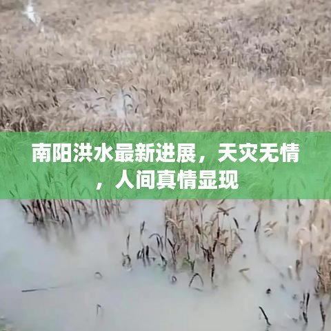 南阳洪水最新进展，天灾无情，人间真情显现