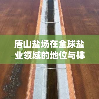唐山盐场在全球盐业领域的地位与排名深度解析