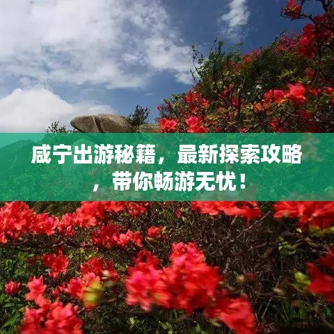 咸宁出游秘籍，最新探索攻略，带你畅游无忧！