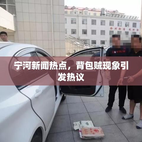 宁河新闻热点，背包贼现象引发热议