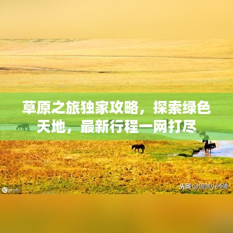 草原之旅独家攻略，探索绿色天地，最新行程一网打尽