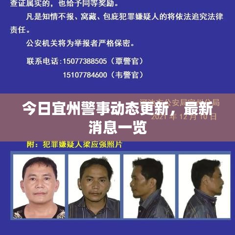 今日宜州警事动态更新，最新消息一览