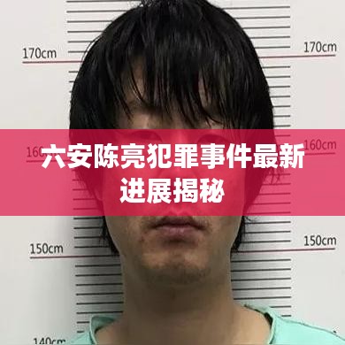 六安陈亮犯罪事件最新进展揭秘