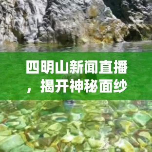 四明山新闻直播，揭开神秘面纱，展现独特魅力实时播报