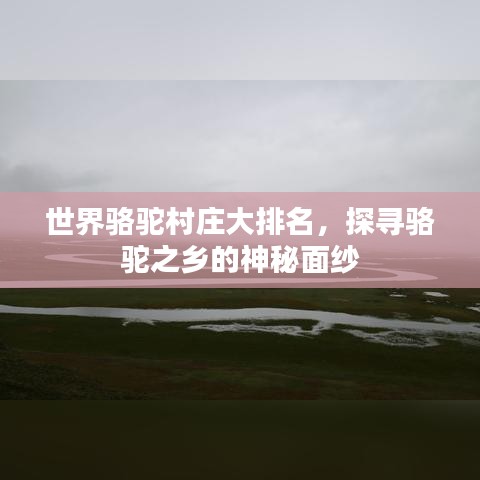 世界骆驼村庄大排名，探寻骆驼之乡的神秘面纱