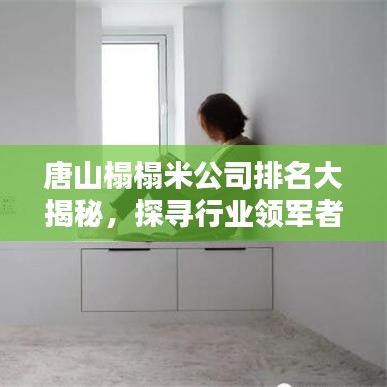唐山榻榻米公司排名大揭秘，探寻行业领军者