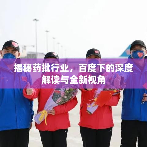 揭秘药批行业，百度下的深度解读与全新视角