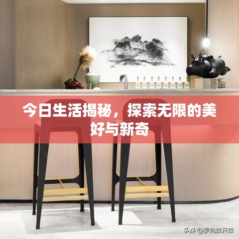 今日生活揭秘，探索无限的美好与新奇