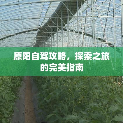 原阳自驾攻略，探索之旅的完美指南