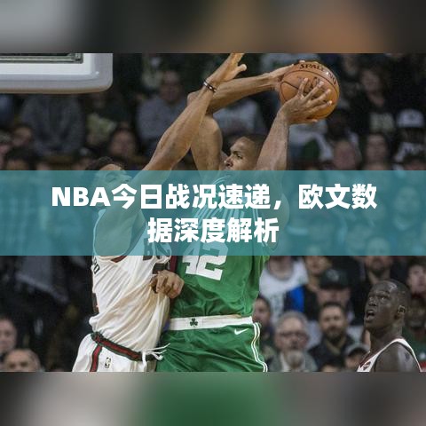 NBA今日战况速递，欧文数据深度解析