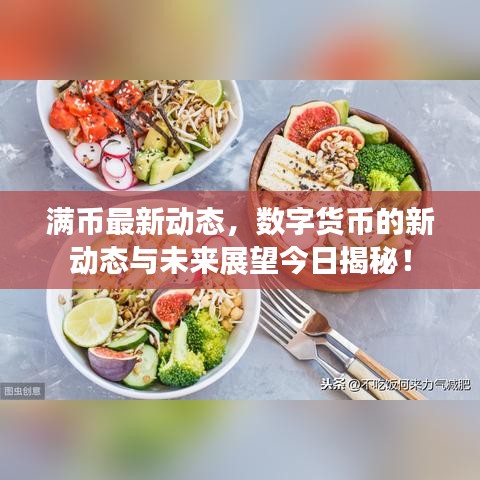 满币最新动态，数字货币的新动态与未来展望今日揭秘！