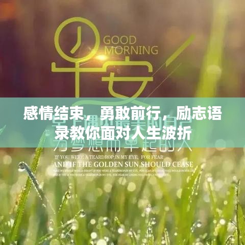 感情结束，勇敢前行，励志语录教你面对人生波折