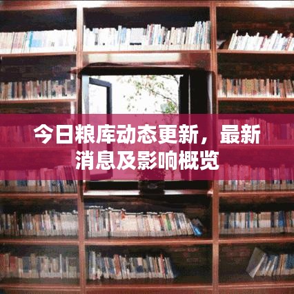 今日粮库动态更新，最新消息及影响概览