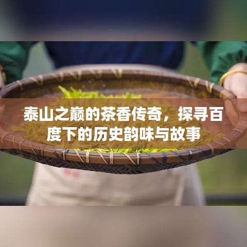 泰山之巅的茶香传奇，探寻百度下的历史韵味与故事