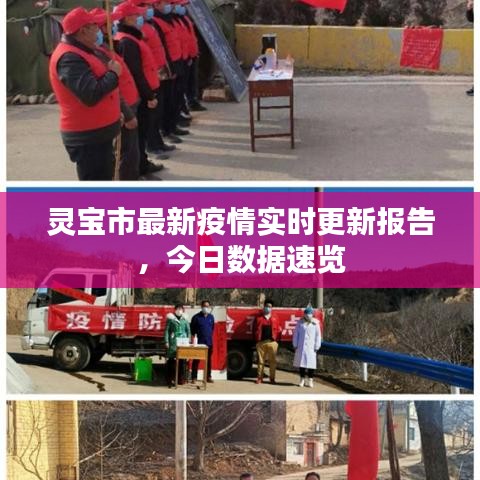 灵宝市最新疫情实时更新报告，今日数据速览
