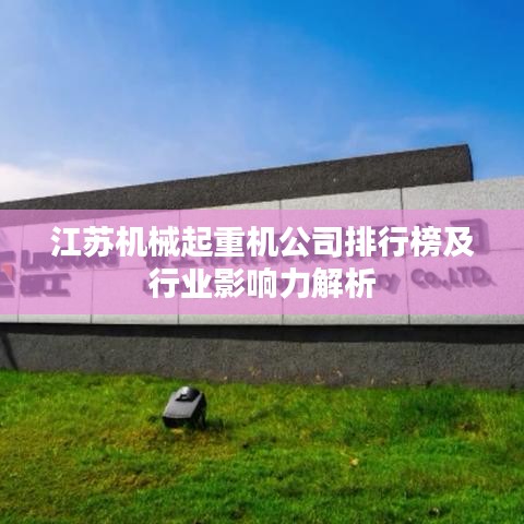 江苏机械起重机公司排行榜及行业影响力解析