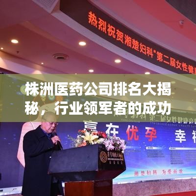株洲医药公司排名大揭秘，行业领军者的成功秘诀探寻！